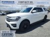 New 2024 Ford Expedition Max - Boscobel - WI