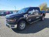 New 2024 Ford F-150 - Boscobel - WI